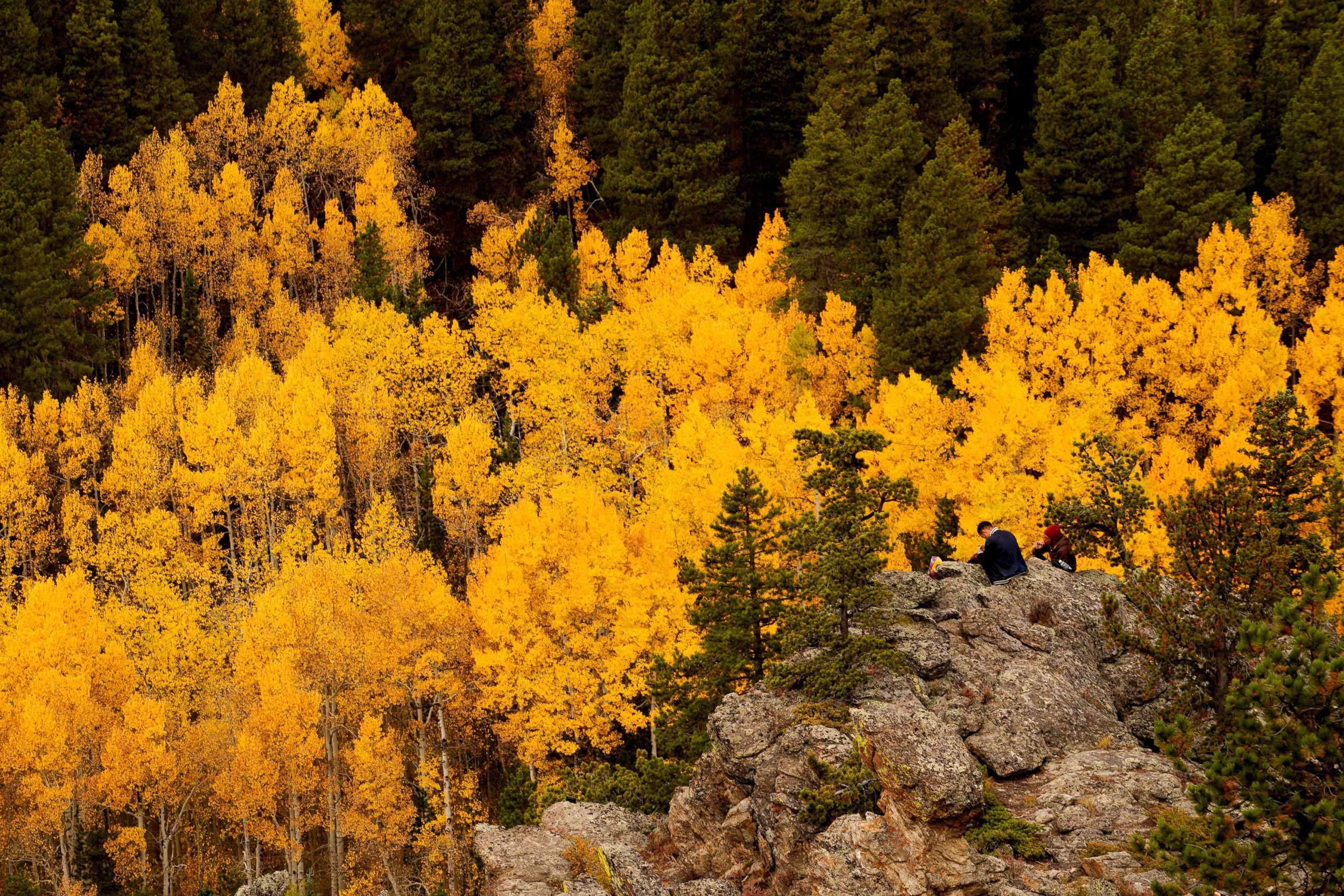 PHOTO: People sit among Aspen trees turned gold on the Autumn Equinox in the northern hemisphere near Nederland, Colo., Sept. 22, 2017.