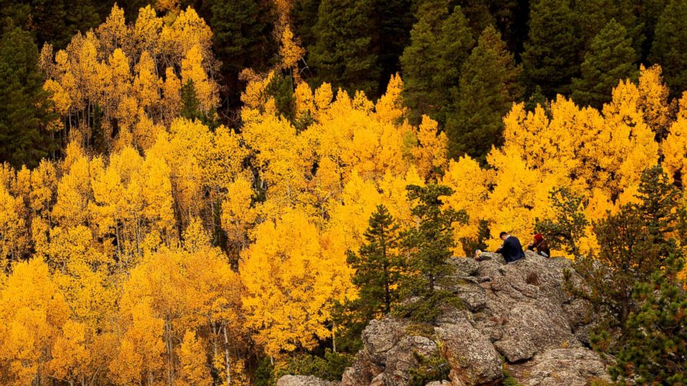 PHOTO: People sit among Aspen trees turned gold on the Autumn Equinox in the northern hemisphere near Nederland, Colo., Sept. 22, 2017.