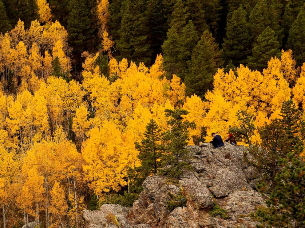 PHOTO: People sit among Aspen trees turned gold on the Autumn Equinox in the northern hemisphere near Nederland, Colo., Sept. 22, 2017.