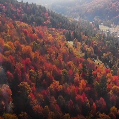 Stunning drone footage shows rich autumnal foliage covering the Vermont countryside.