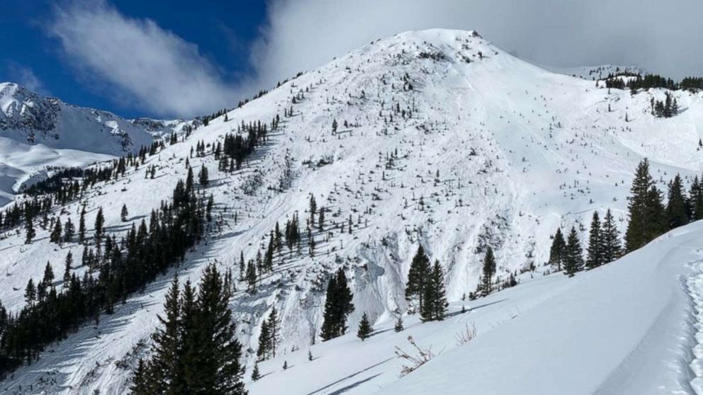 PHOTO: Looking across at the avalanche that caught four skiers on February 1, 2021. Their ski tracks are visible to the right of the avalanche, but where they entered into the gully is obscured by trees. 