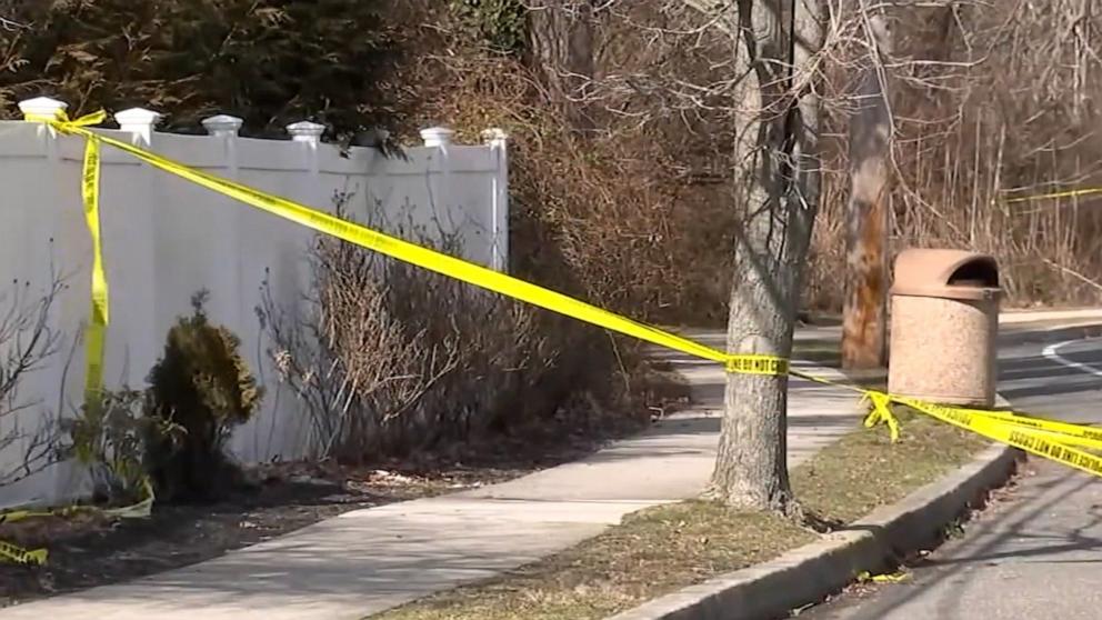 Severed Body Parts Including Womans Head Found In Park Abc7 Chicago