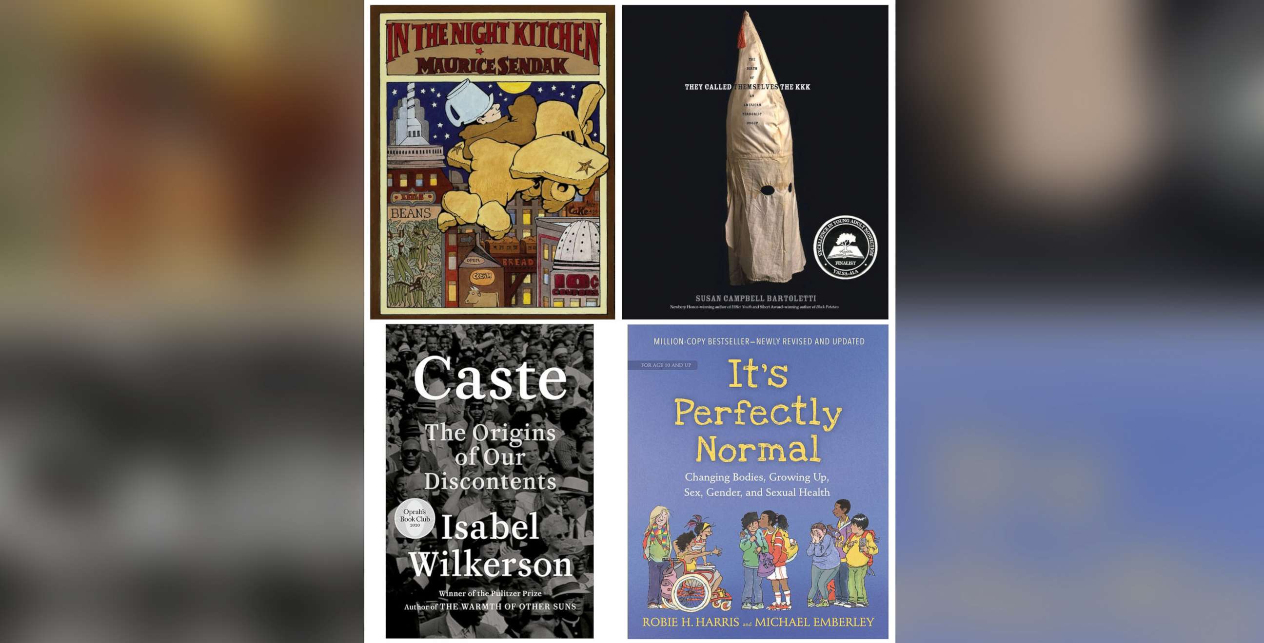 PHOTO: Banned books in Llano county, Texas include "In the Night Kitchen" by Maurice Sendak, "They Called Themselves the K.K.K... by Susan Campbell Bartoletti, "Caste... by Isabel Wilkerson and "It's Perfectly Normal: Changing Bodies... by Robie H. Harris
