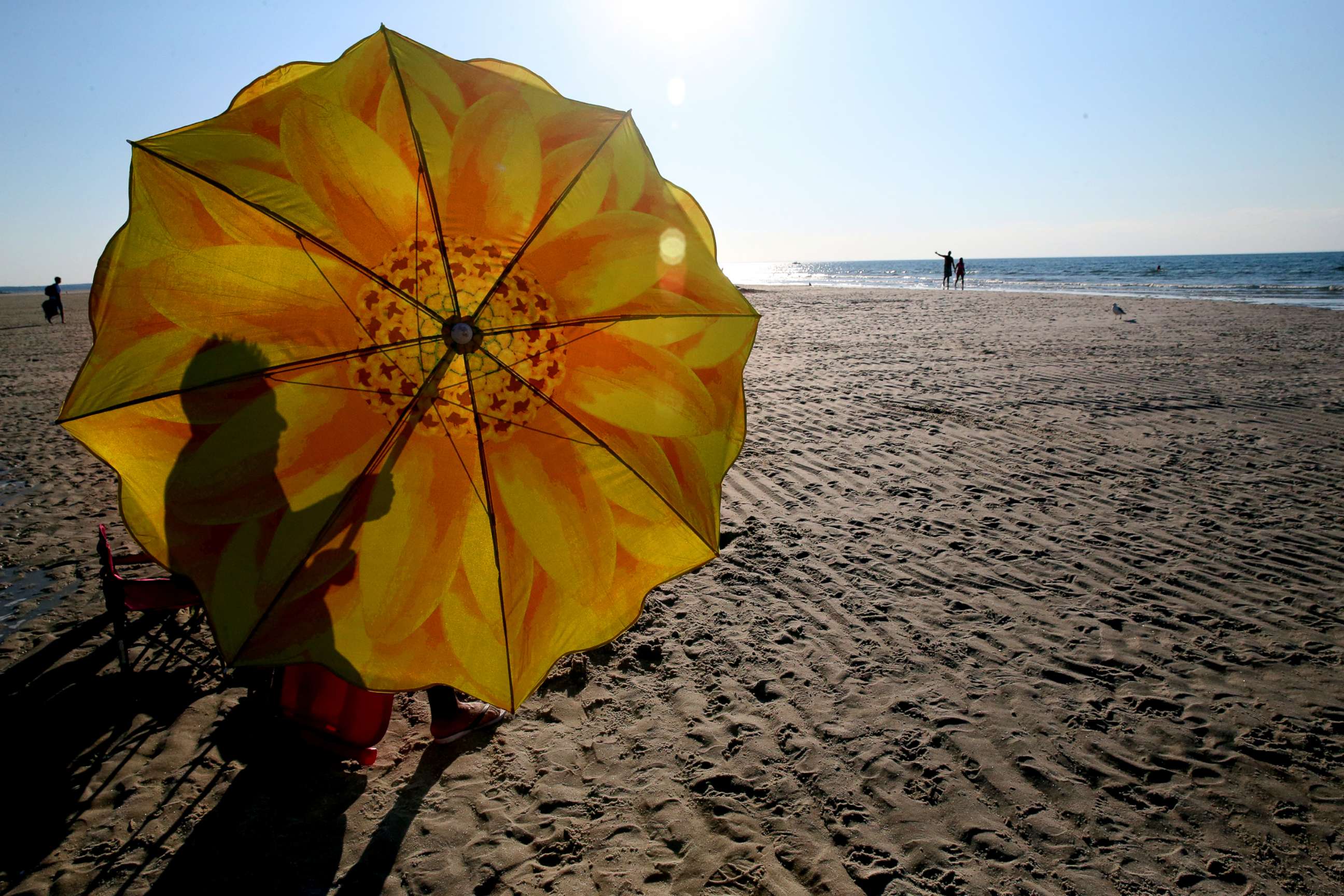 PHOTO: A man closes his sunflower beach umbrella at Mayflower Beach in Dennis, Mass., Aug. 26, 2015.