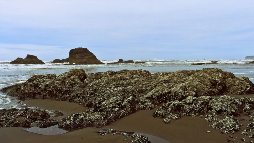 An undated stock photo of a beach in Washington State. 