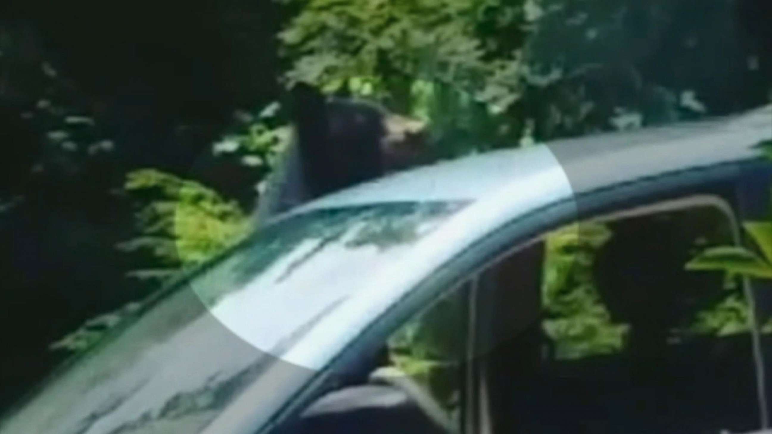 PHOTO: A black bear climbed into a woman's minivan and ate her lunch on July 12, 2018, in Rabun County, Georgia.
