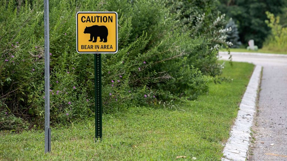 FOTO: In questo agosto  6, 2020, file foto, la segnaletica avverte di "Orso in zona" a Hardyston Township, NJ Gli orsi neri vivono in questi boschi vicino a un quartiere residenziale. 