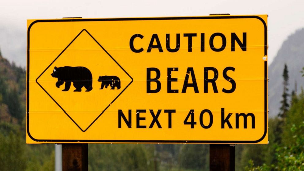 PHOTO: A road sign advises people to be cautious of bears nearby, in this stock image.