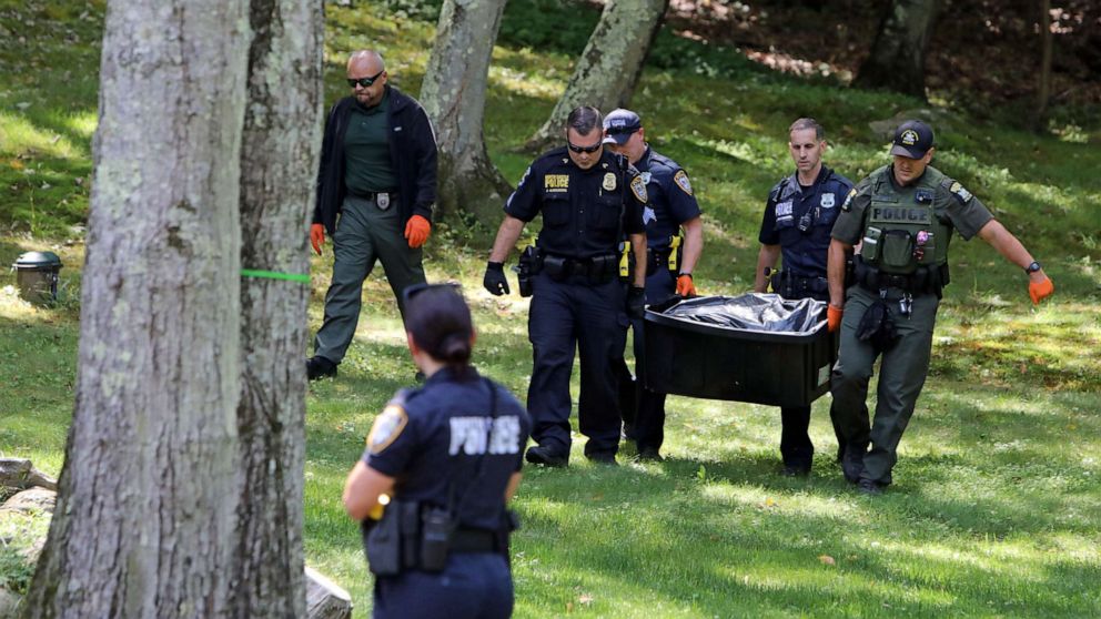 Bear Euthanized After Attacking 7-year-old Boy In New York, Authorities ...