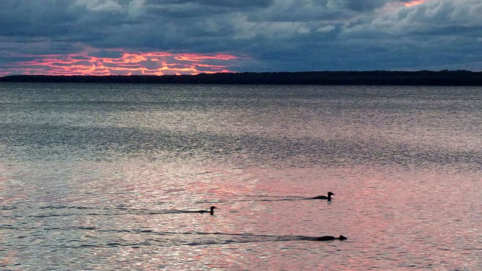 PHOTO: Ducks on the water at Beaver Island in Lake Michigan.