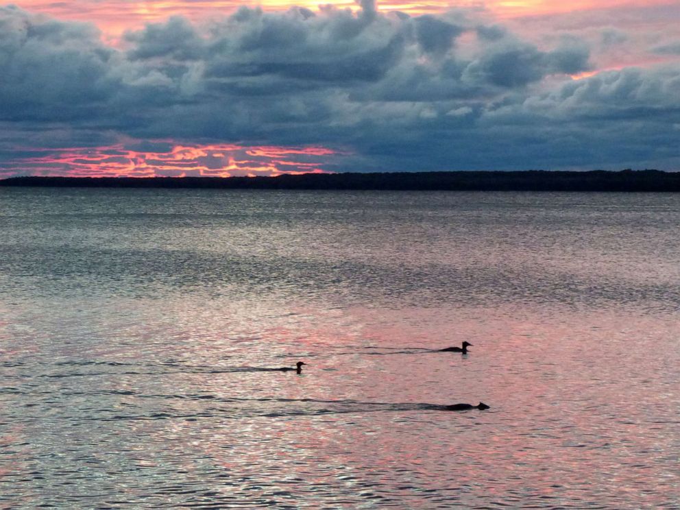 PHOTO: Ducks on the water at Beaver Island in Lake Michigan.