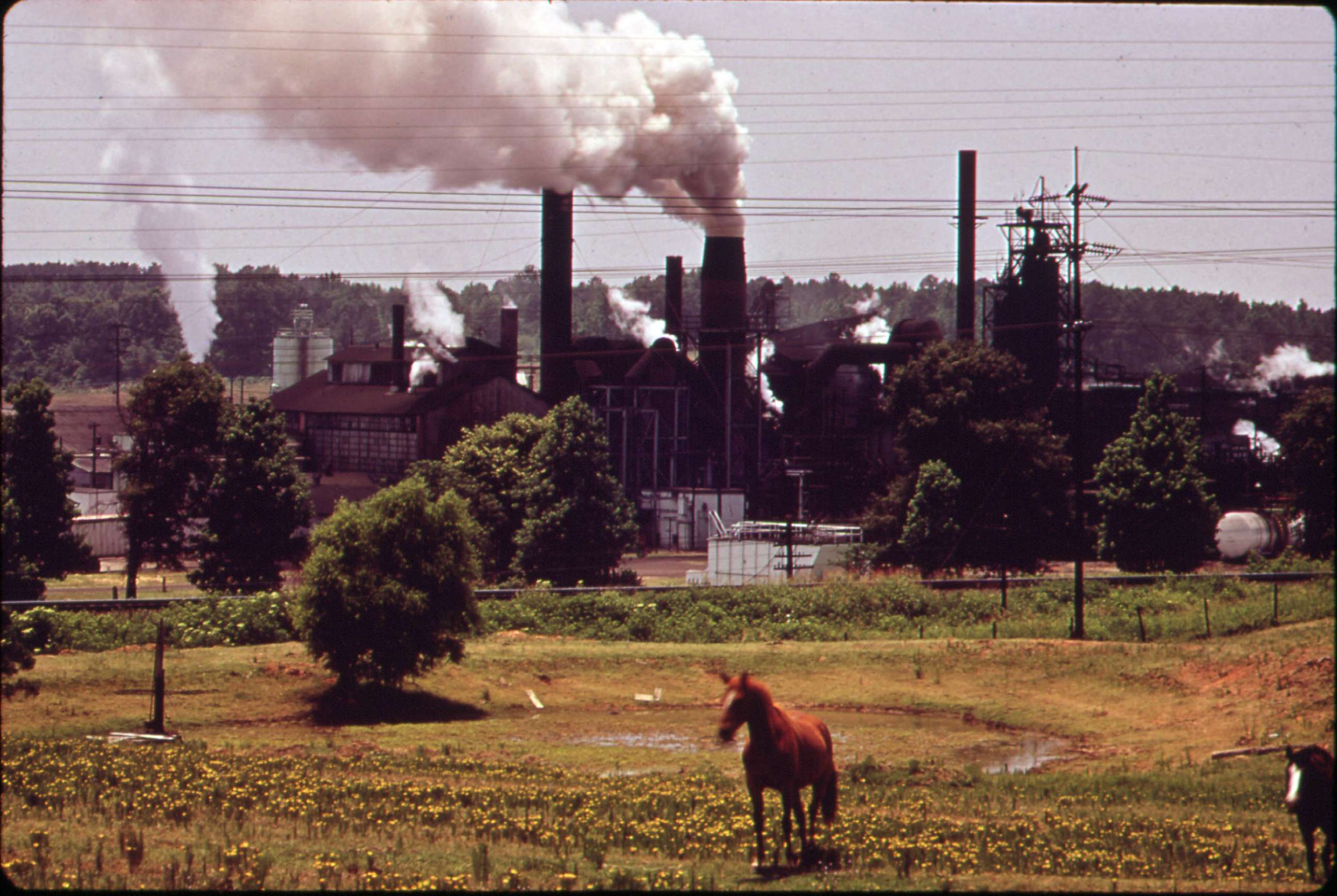 PHOTO: An Atlas Chemical Company plant, referred to as "Old Darky" because of the black soot that it emits, belches smoke across pasture land near Marshall, Texas, in 1972. 