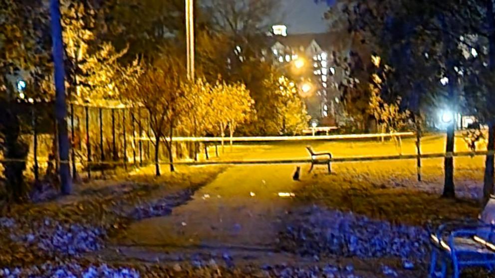 College freshman dies after being hit by stray bullet on Nashville ...