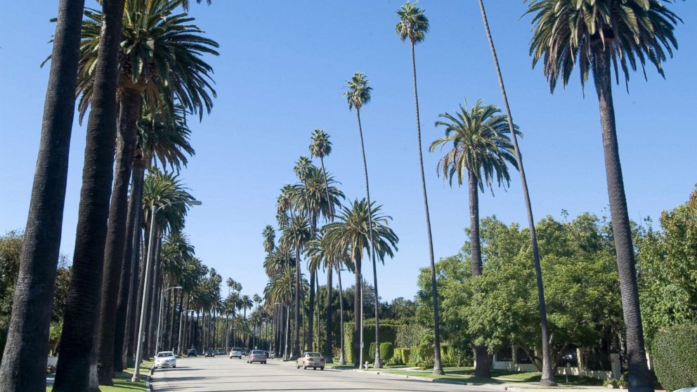 PHOTO: Beverly Drive in Beverly Hills, Calif., is pictured in this undated stock photo.