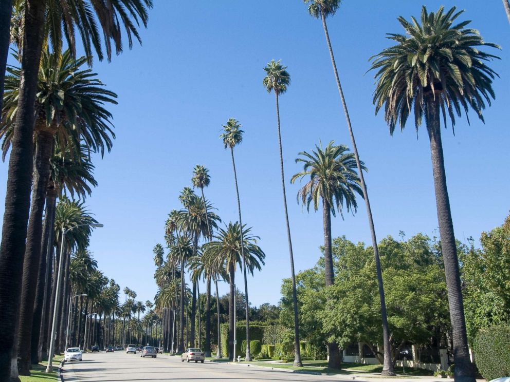 PHOTO: Beverly Drive in Beverly Hills, Calif., is pictured in this undated stock photo.