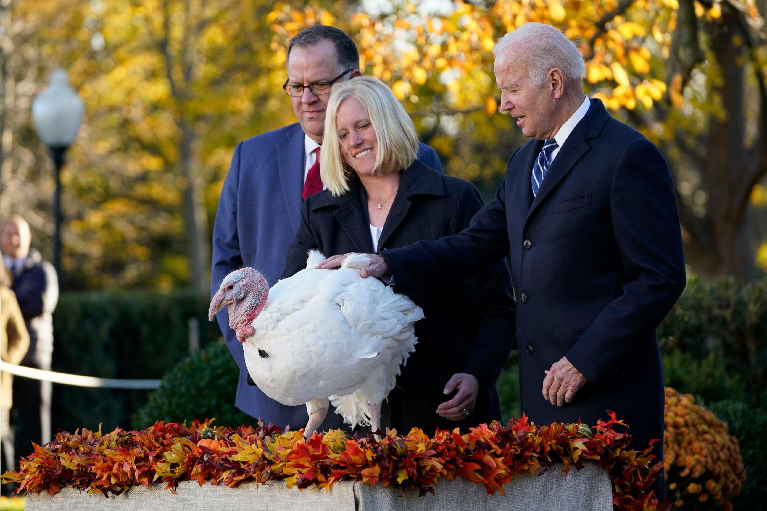 PHOTO: President Joe Biden pardons Peanut Butter, the national Thanksgiving turkey, in the Rose Garden of the White House in Washington, D.C., Nov. 19, 2021.