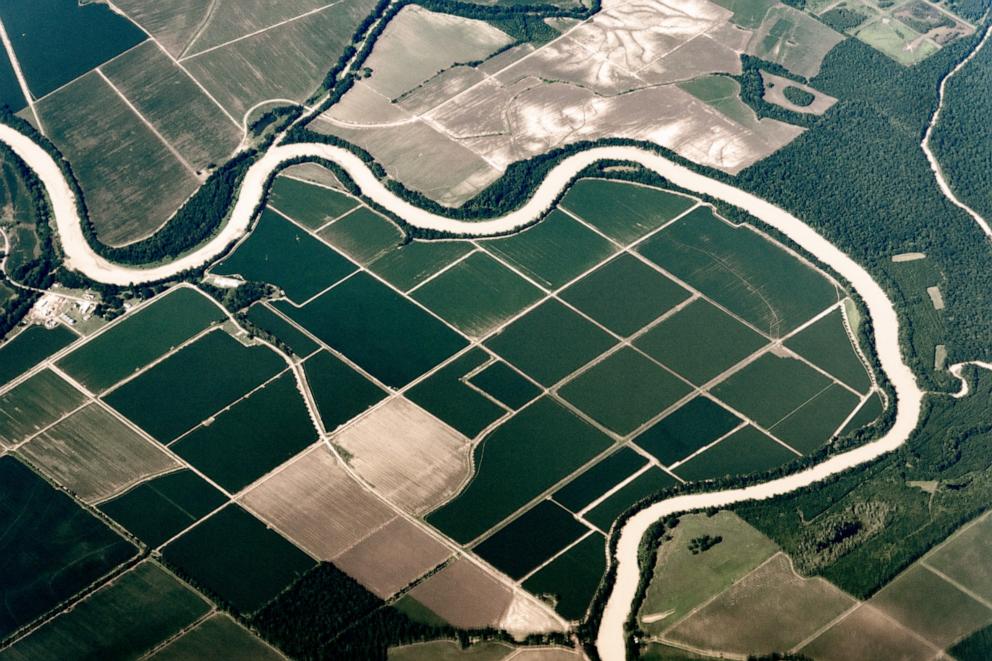PHOTO: Meandering river and agriculture. Big Sunflower River near Murphy, Mississippi