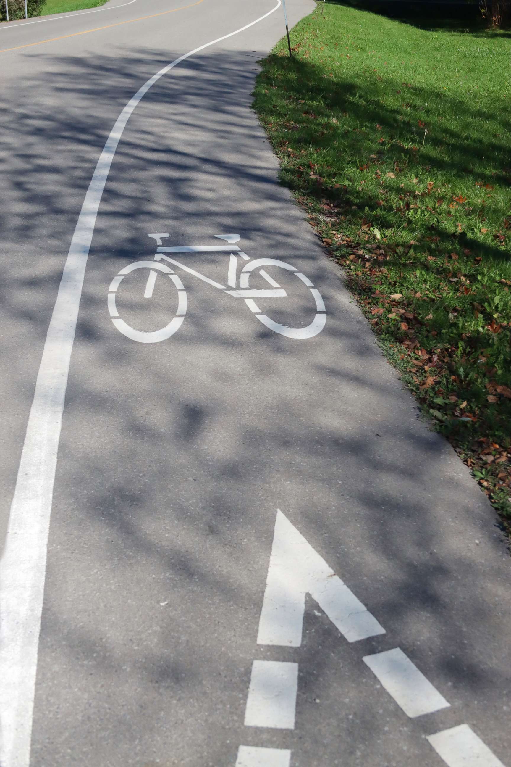 PHOTO: A bike lane decal is painted on the roadside indicating a Bike only zone for road safety.