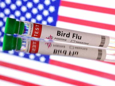 1st bird flu death in the US reported in Louisiana