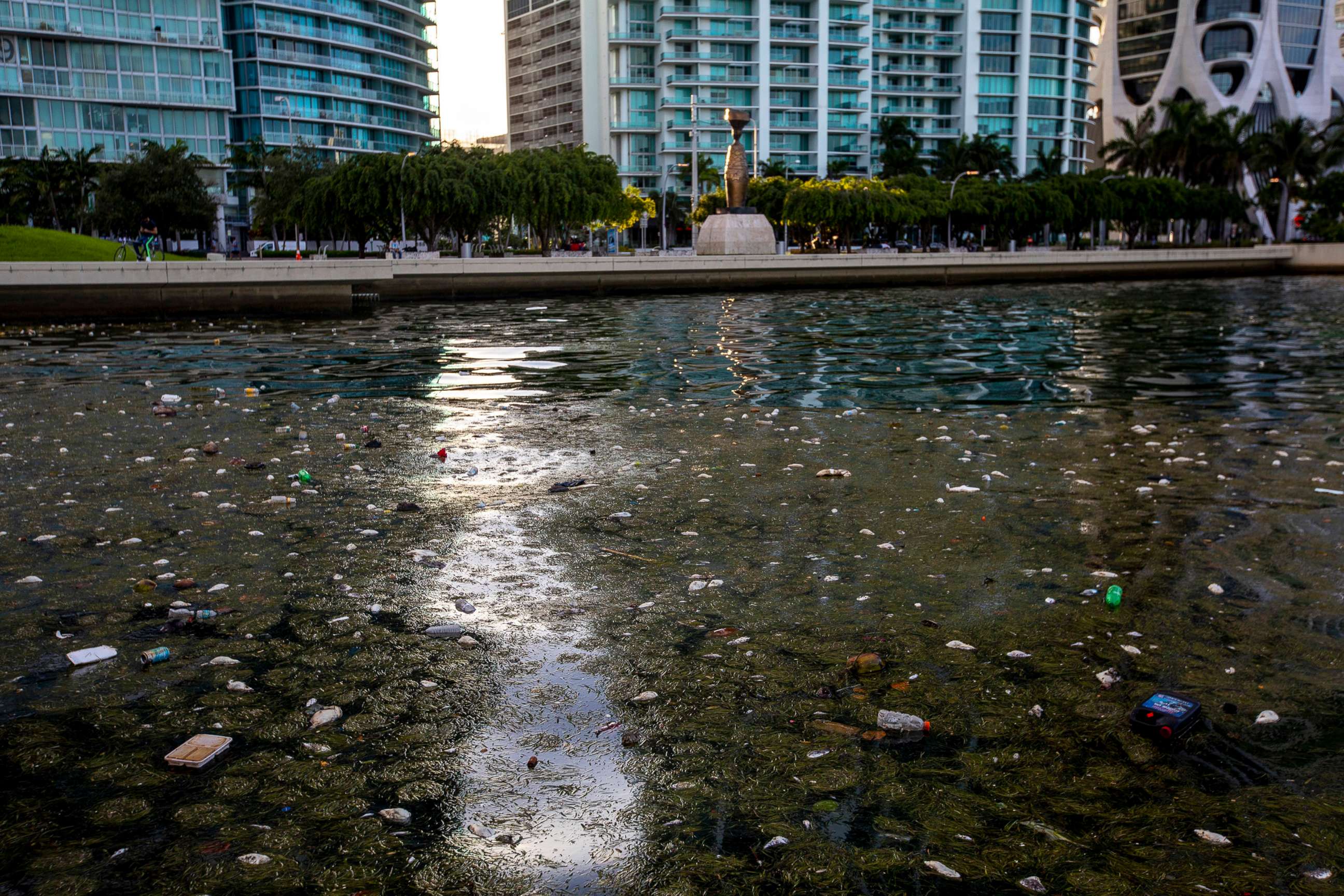 PHOTO: In this Aug. 12, 2020, file photo, trash and dead fish float on the surface of the water in Downtown Miami, on Biscayne Bay.