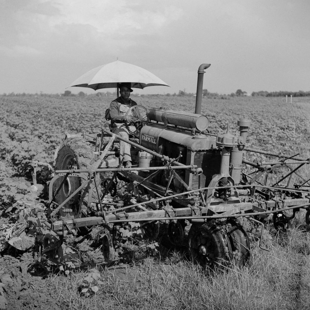 PHOTO: A day laborer rides a tractor in a farm in Clarksdale, Miss., Aug. 1940.