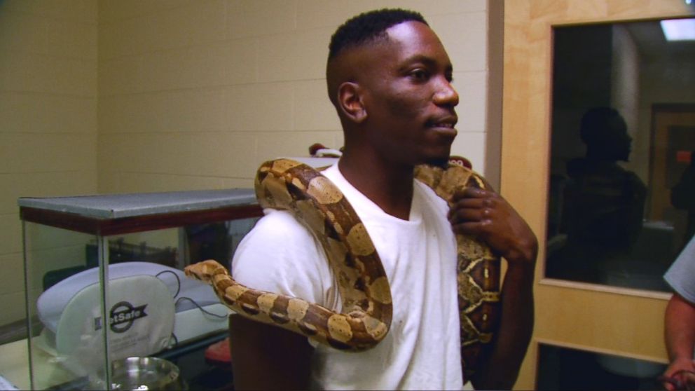 PHOTO: Neil Miller reclaimed his boa constrictor after "accidentally" leaving him in a hotel room in Asheville, N.C., Oct. 23, 2017.