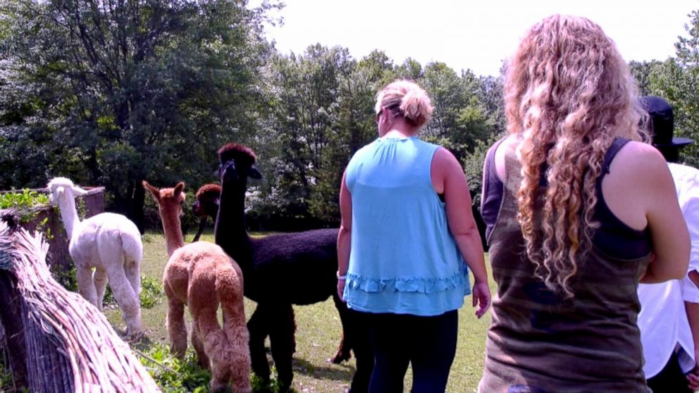 PHOTO:  Attendees of the Renew Breakup Bootcamp play with alpacas. 
