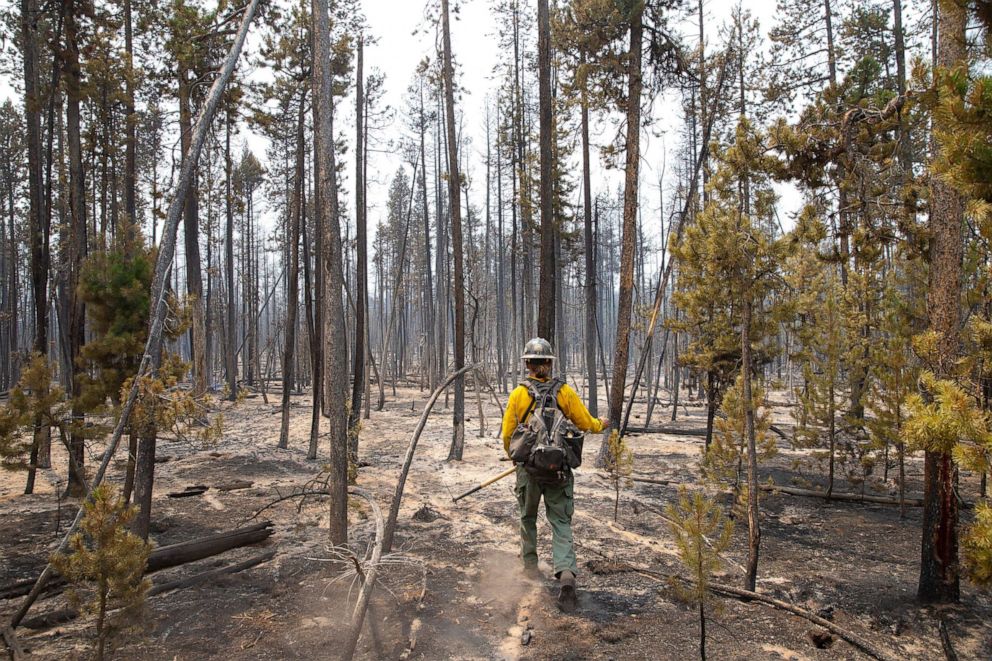 PHOTO: A Utah Taskforce One firefighter walks through a burned over area of the Bootleg Fire east of Klamath Falls as crews work to stop the wildfire in Eugene, Ore., July 27, 2021. 