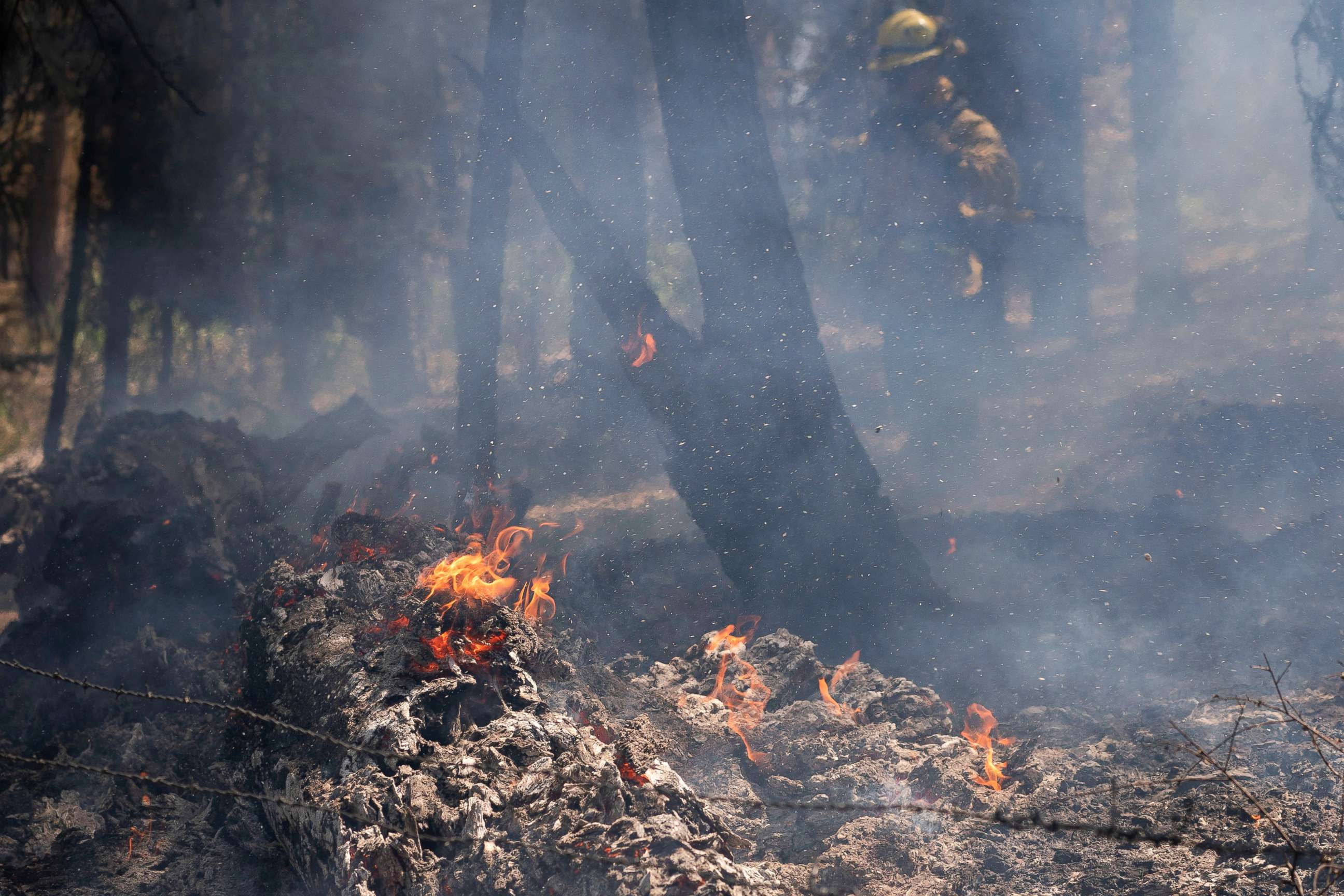PHOTO: A log burns in an area hit hard by the Bootleg Fire near Bly Oregon, July 19, 2021.