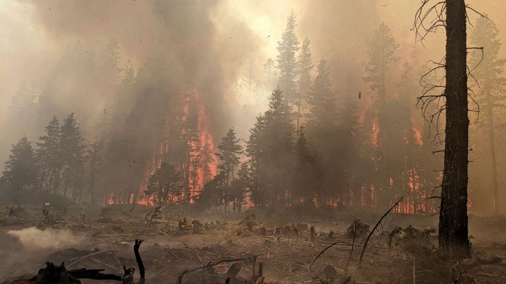 PHOTO: In this photo provided by the Bootleg Fire Incident Command, trees burn at the Bootleg Fire in southern Oregon, July 25, 2021.