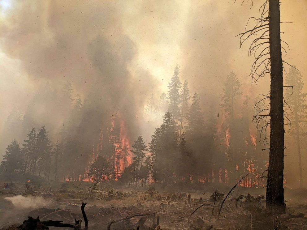 PHOTO: In this photo provided by the Bootleg Fire Incident Command, trees burn at the Bootleg Fire in southern Oregon, July 25, 2021.