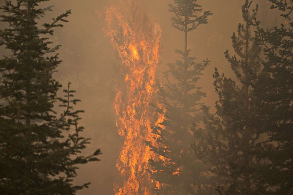 PHOTO: The Bootleg Fire burns through vegetation near Paisley, Oregon, July 20, 2021.
