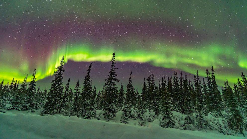 PHOTO: An aurora glows in the sky over the northern boreal forest in Churchill, Manitoba, Canada.