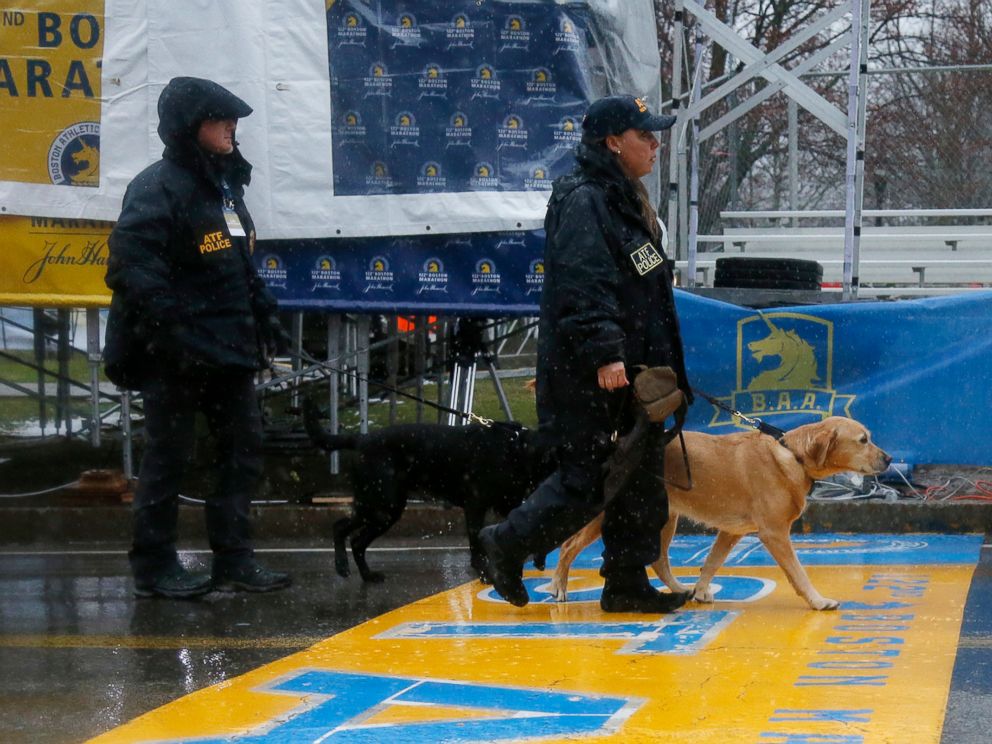 PHOTO: ATF K-9 units cross the start line during a security patrol before the start of the 122nd running of the Boston Marathon in Hopkinton, Mass., April 16, 2018.
