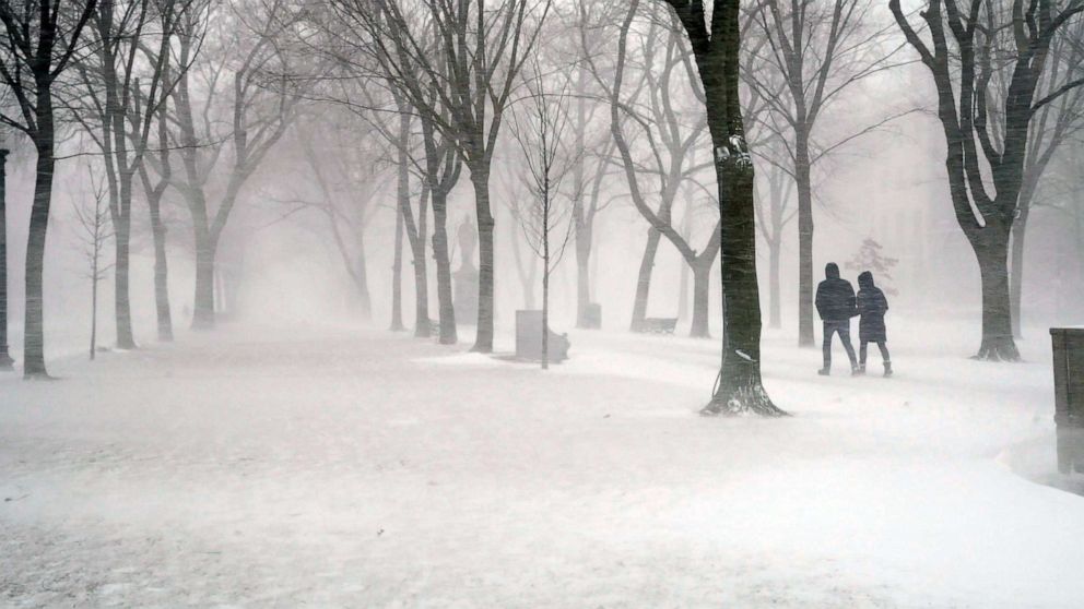 PHOTO: A couple walk on Common Wealth Avenue mall during a snow storm in Boston, Jan. 29, 2022.