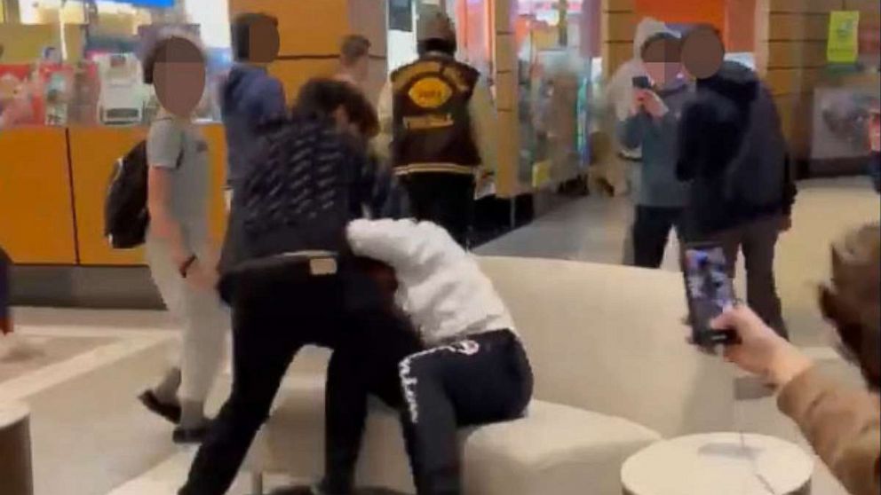 PHOTO: A screen shot of a video of police responding to a fight between two teenagers at the Bridgewater Commons Mall in New Jersey on Feb. 12, 2021.