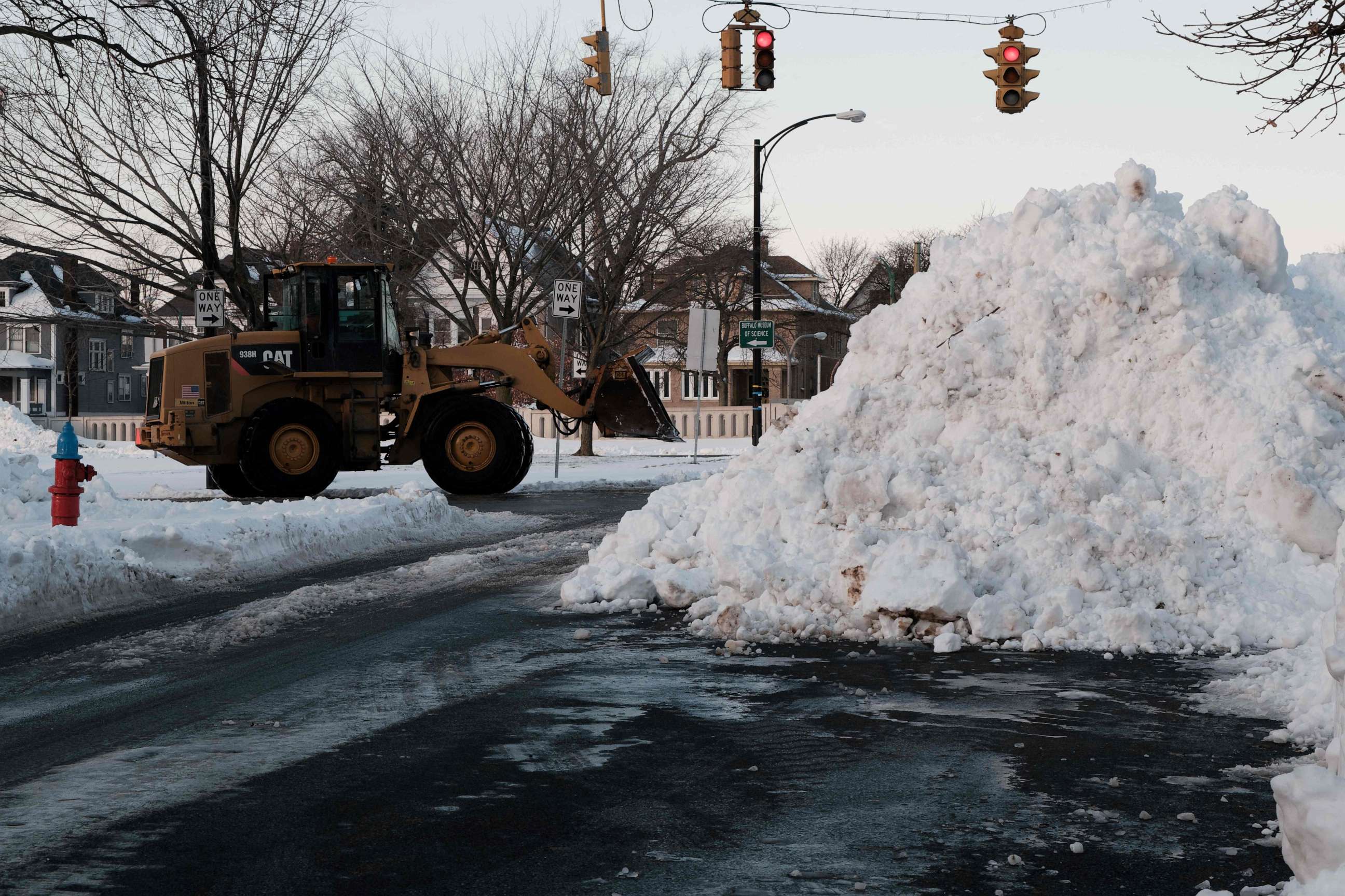 Buffalo Blizzard