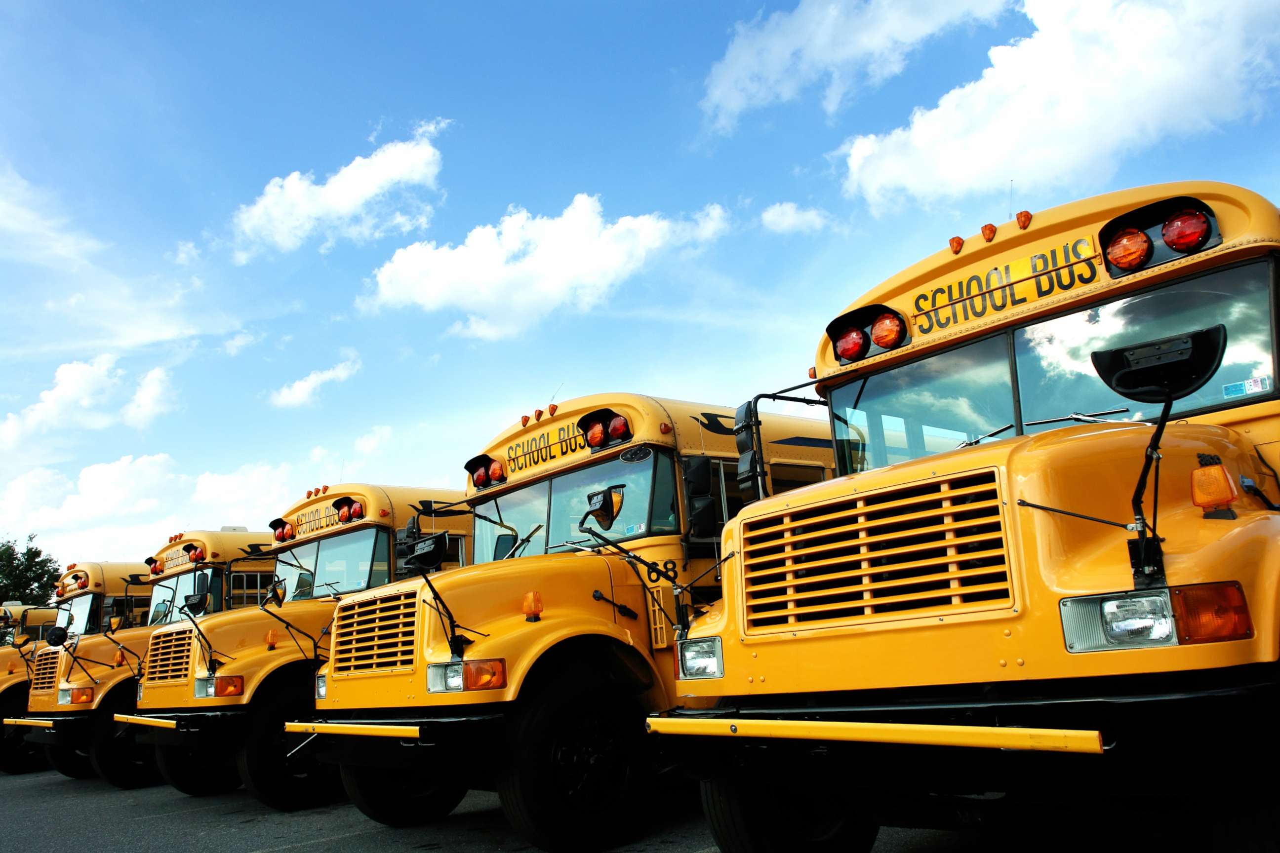 PHOTO: A Line of school buses is seen in this undated stock image.