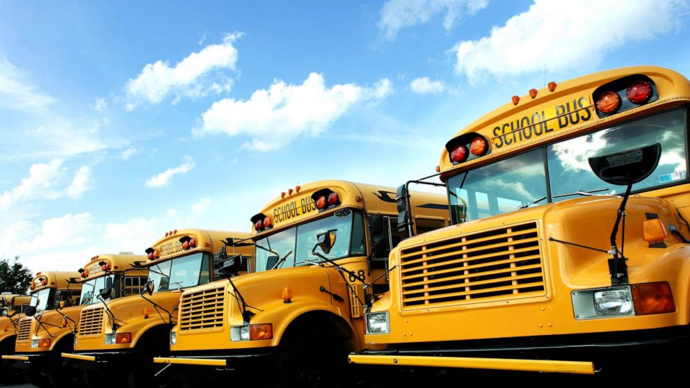 PHOTO: A Line of school buses is seen in this undated stock image.