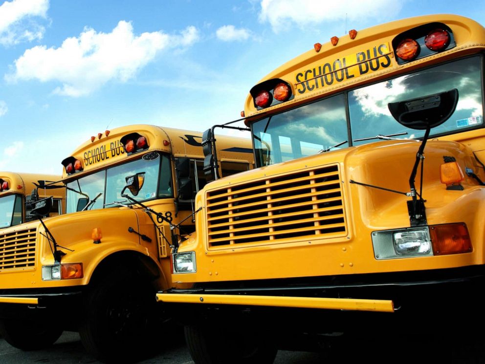 PHOTO: A Line of school buses is seen in this undated stock image.