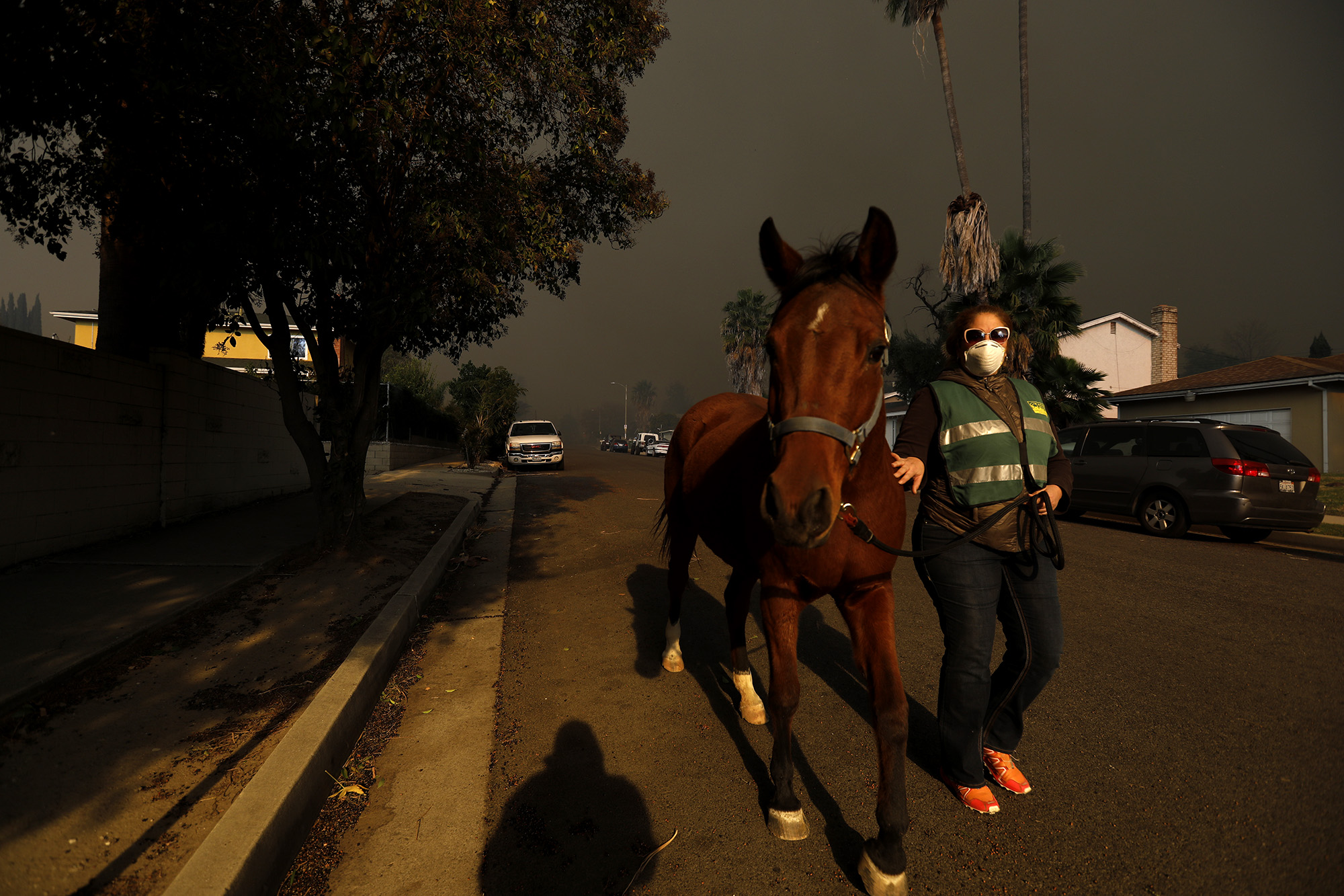 PHOTO: Gina Donaldson evacuates her horse as the Creek Fire bears down on Foothill Blvd. in Sylmar, Calif., on Dec. 5, 2017. 
