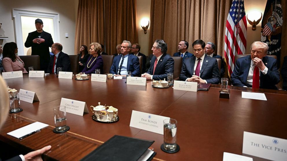 PHOTO: Elon Musk delivers remarks during a Cabinet meeting held by President Donald Trump at the White House, Feb. 26, 2025 in Washington.