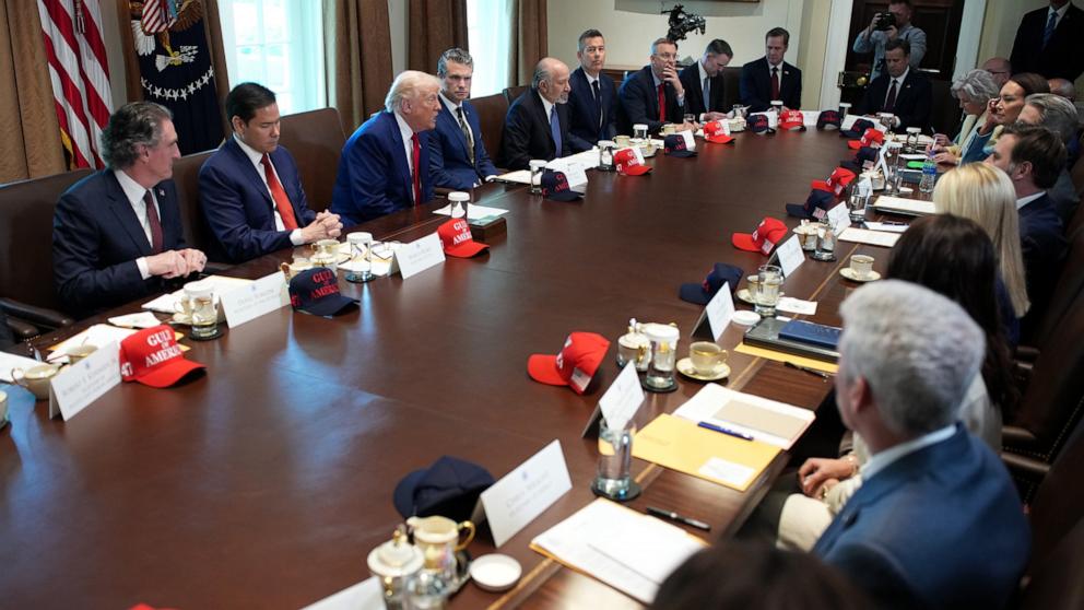 PHOTO: President Donald Trump speaks during a Cabinet meeting at the White House, April 30, 2025 in Washington.