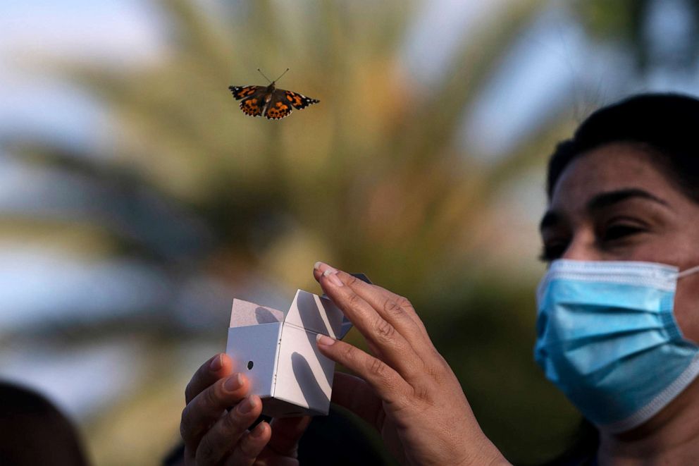 PHOTO: A butterfly is released during an event held to honor health care workers and those who lost loved ones to COVID-19, at Providence St. Jude Medical Center in Fullerton, Calif., May 10, 2021.