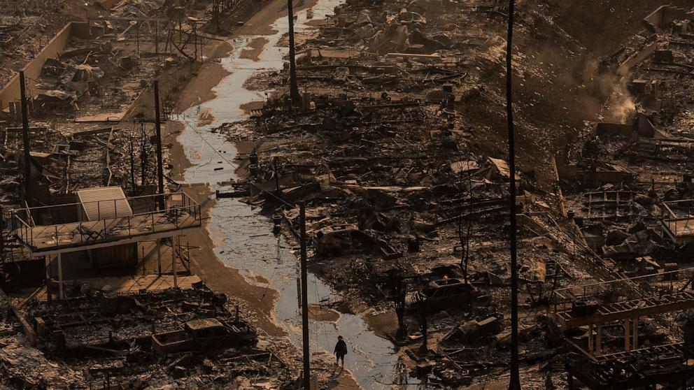 PHOTO: A person walks amid the destruction left behind by the Palisades Fire in the Pacific Palisades neighborhood of Los Angeles, Jan. 9, 2025.