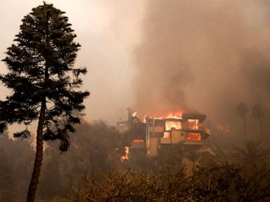 How climate whiplash contributed to the severity of the California fires