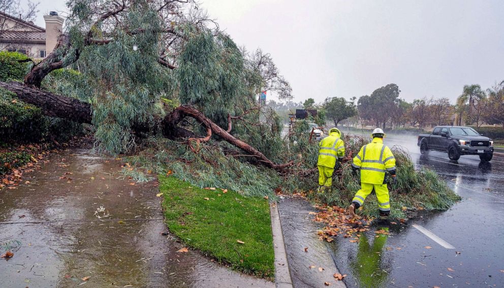 PHOTO: Crews clear a tree that fell onto a roadway in Rancho Santa Margarita, Calif., as a winter storm brought heavy rain, high winds and flash flooding to Orange County and Southern California, Dec. 14, 2021.AP)