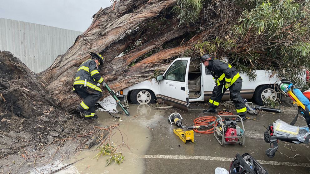 PHOTO: Alameda County firefighters at the scene of a truck crushed by a fallen tree after storms passed through northern California, March 21, 2023, in Newark, Calif.