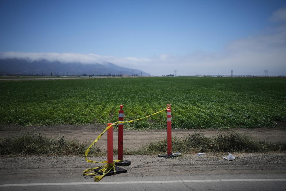 PHOTO: A farm field is seen on Friday, July 11, 2025, in Camarillo, Calif. 