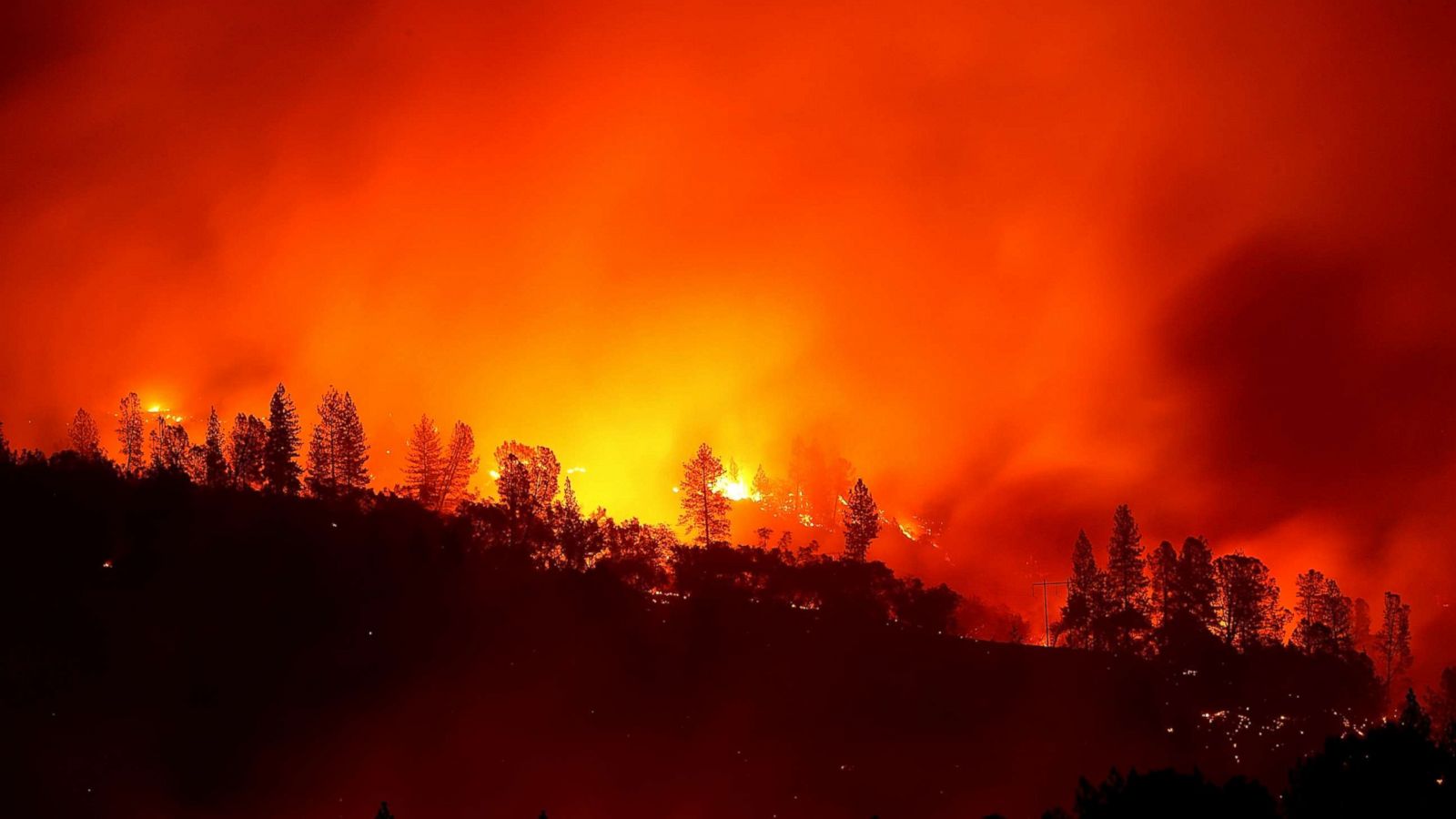 It S Just A Recipe For Destruction Fire Chief Says Of Conditions On Front Lines Of California Fires Abc News